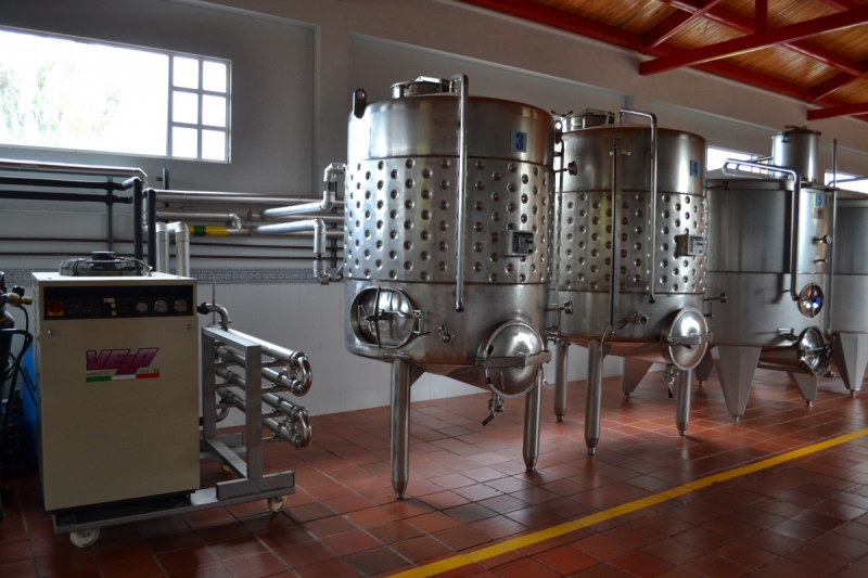 cave-LA ROQUETTE SUR VAR-min_wine_production_cantine_winery_drink_alcohol_vine_beverage-902036